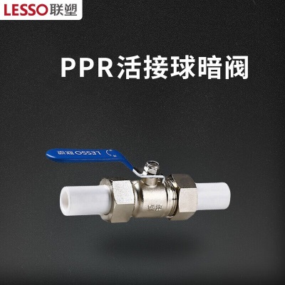联塑（LESSO）ppr水管配件 外丝弯头 4分水暖管材热熔管件接头直通(PP-R 配件)白色 dn20p253
