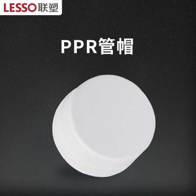 联塑（LESSO）ppr水管配件 外丝弯头 4分水暖管材热熔管件接头90°弯头(PP-R 配件)白色p253