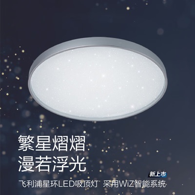 飞利浦（PHILIPS）LED调光卧室灯吸顶灯客厅灯餐厅灯圆形现代简约灯具p255