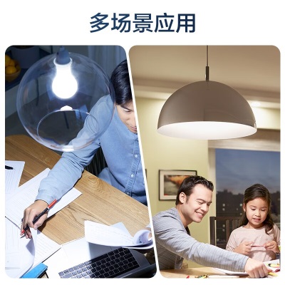 飞利浦（PHILIPS）led灯泡节能灯泡家用客厅超亮大功率E27螺口10W 6500K白光A优视型p255