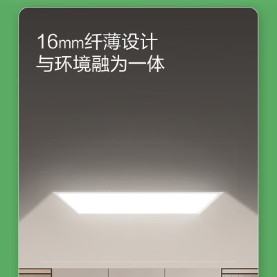 飞利浦集成吊顶平板灯超薄厨房卫生间面板灯 升级款14W 6500Kp255