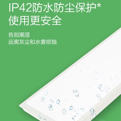 飞利浦集成吊顶平板灯超薄厨房卫生间面板灯 升级款24W 6500Kp255