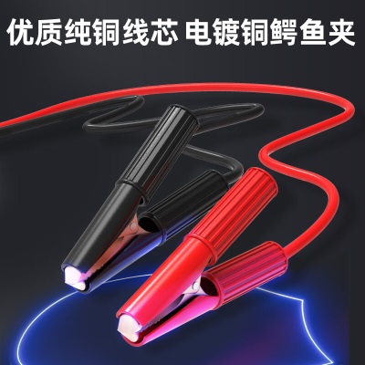 纽曼（Newsmy）汽车电瓶充电器12V24V通用纯铜摩托车轿车货车充电加强款C90Prop258