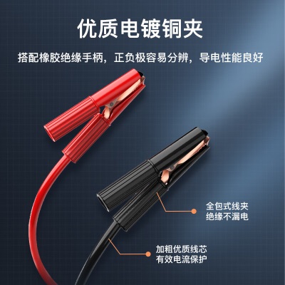 纽曼（Newsmy）汽车电瓶充电器12V24V通用纯铜摩托车轿车货车充电修复C90升级p258