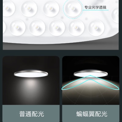 飞利浦（PHILIPS）LED吸顶灯灯芯灯盘灯条圆形卧室客厅节能灯磁吸式模组36W白光P255