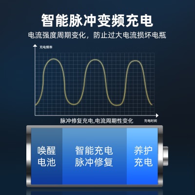 纽曼（Newsmy）汽车电瓶充电器12V24V摩托轿车通用全自动智能脉冲充电修复款C80p258