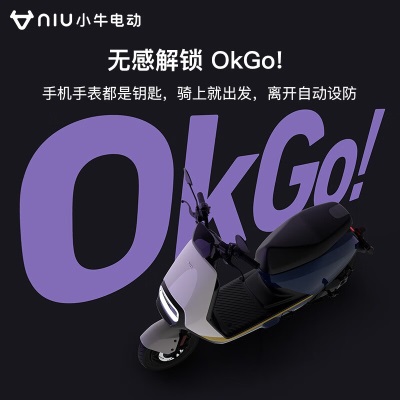 小牛（XIAONIU）【新品到店自提】G400都市版 电动轻便摩托车 智能踏板电动车p257