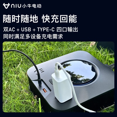 小牛电动T 小牛电动 锂电池纯正弦波逆变器 300W NBQ-31p257