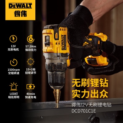 得伟（DEWALT）12V轻型迷你大扭力无线充电无刷手钻电锂电起子机 DCD701MD1Ep262